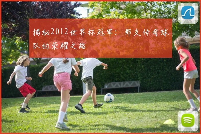 揭秘2012世界杯冠军：那支传奇球队的荣耀之路