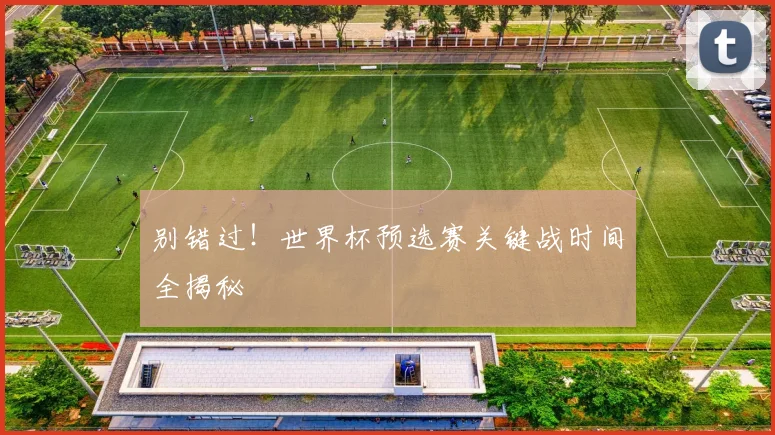 别错过!世界杯预选赛关键战时间全揭秘