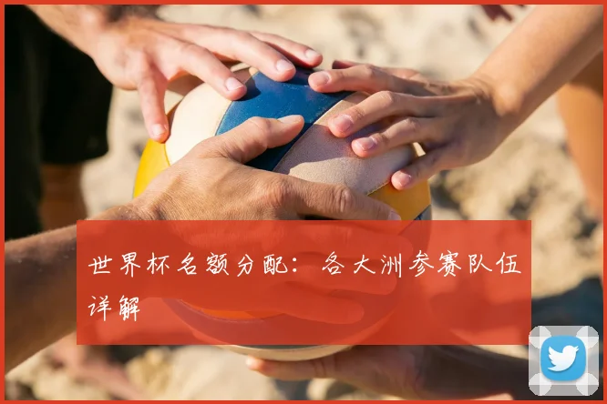 世界杯名额分配:各大洲参赛队伍详解