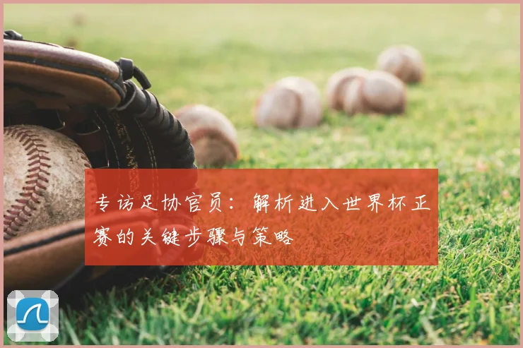 专访足协官员：解析进入世界杯正赛的关键步骤与策略
