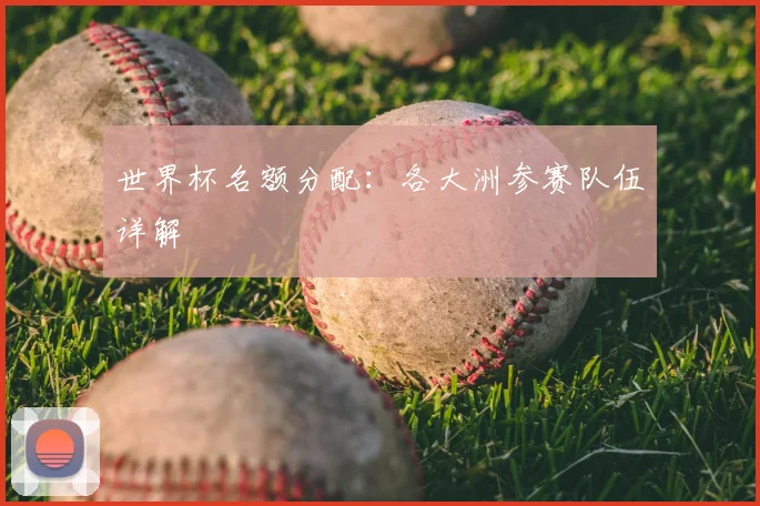 世界杯名额分配:各大洲参赛队伍详解