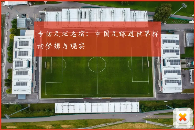 专访足坛名宿：中国足球进世界杯的梦想与现实