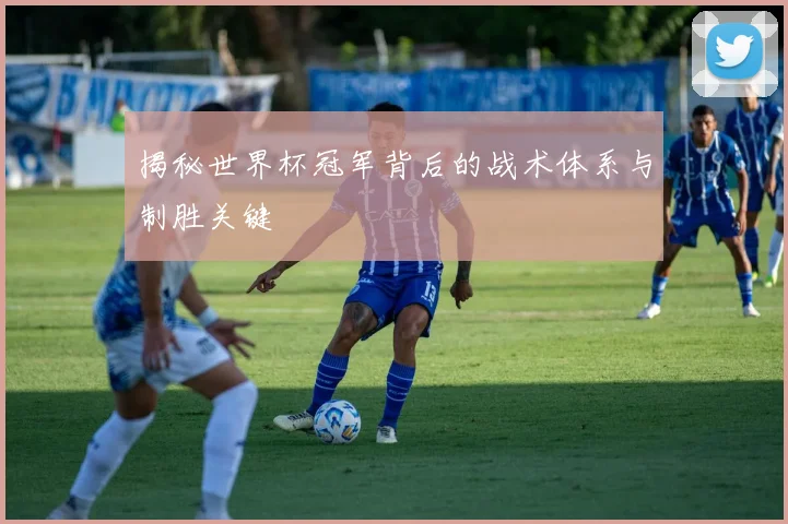 揭秘世界杯冠军背后的战术体系与制胜关键