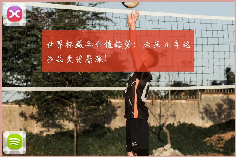 世界杯藏品升值趋势：未来几年这些品类将暴涨！