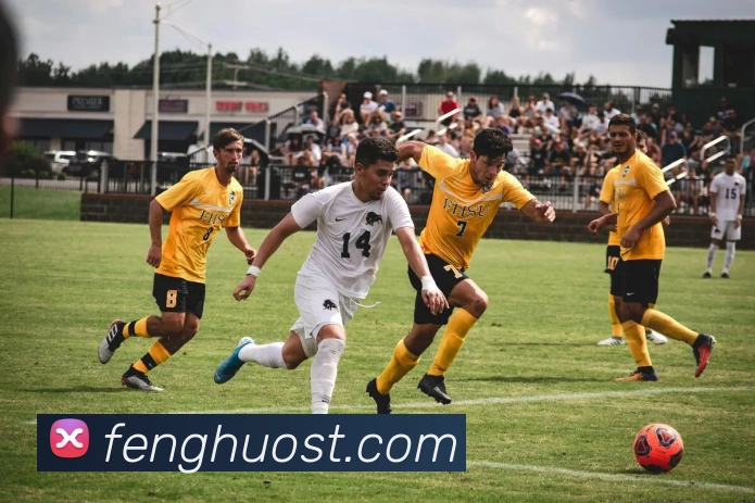 星空体育中国官方网站APP 高清赛事图